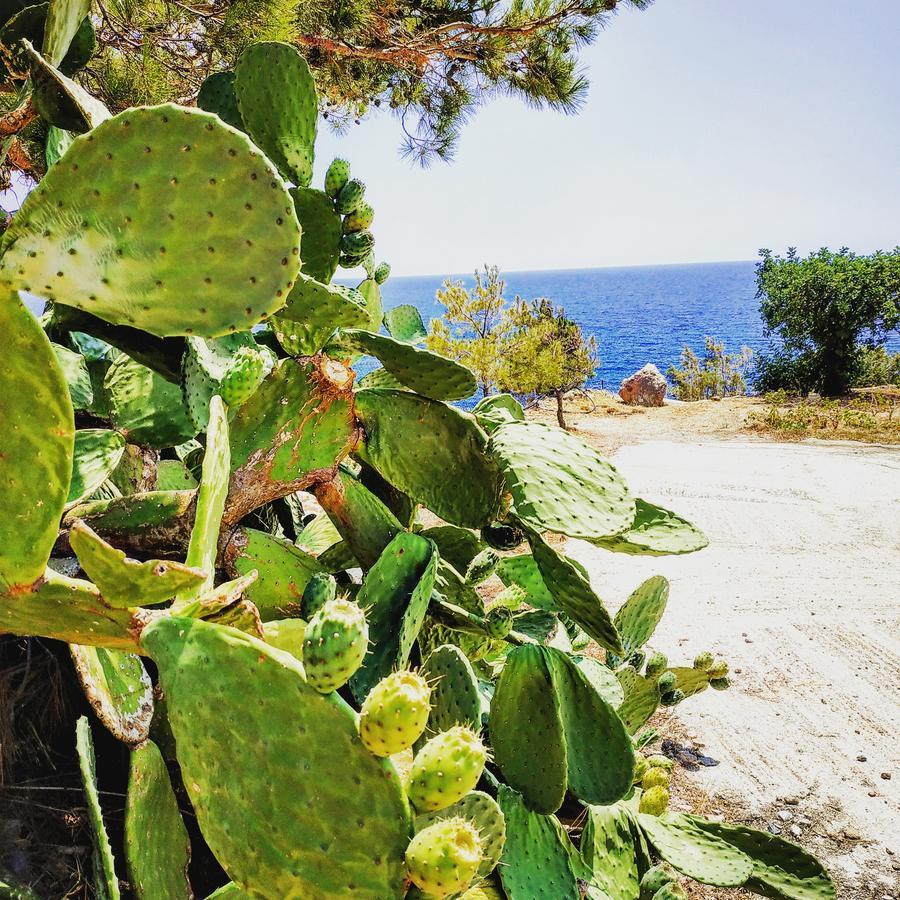 Euphoria - South Crete Villas Achlia Екстериор снимка